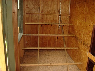 Chicken perches should start about 18 inches off the ground. I made my 