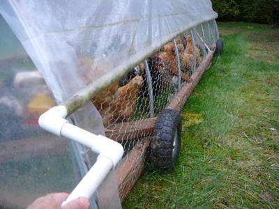 PVC Chicken Tractor Plans