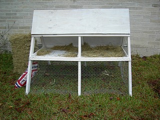 Chicken Ark 