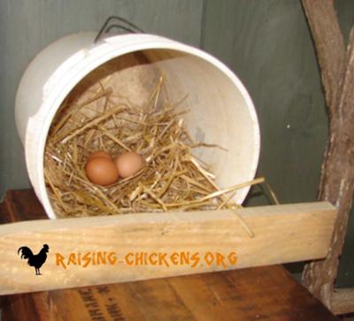 gallon nesting box