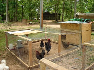 Small Chicken Coops and Runs