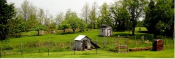 The hatching of a chicken house