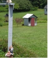 The hatching of a chicken house