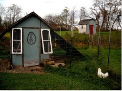 The hatching of a chicken house