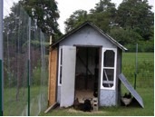 The hatching of a chicken house