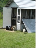 The hatching of a chicken house