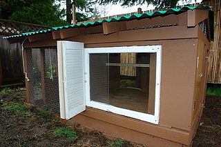 A nicely designed medium sized coop. 
