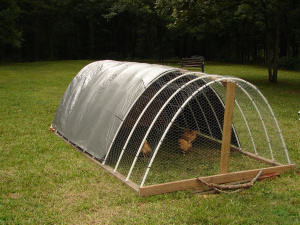 simple chicken coop