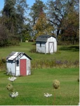 The hatching of a chicken house