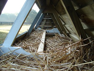 Chicken Nesting Box in Chicken Ark 