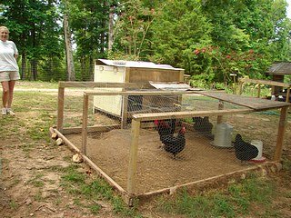 Small Chicken Coop