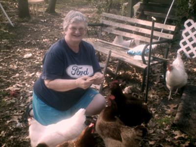 chickens enjoying the run of the yard