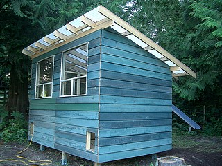 A nice sized chicken coop for a bigger flock.