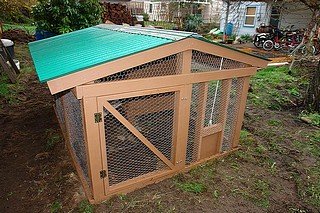 Another nicely designed very pretty medium sized coop.