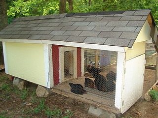 A pretty little chicken coop. 