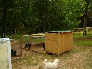 Small sized coop.